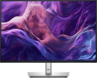 Dell P2425E - LED monitor -