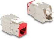 Delock modular insert - toolfree 88115