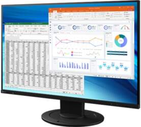 EIZO FlexScan EV2410R-BK - with FlexStand