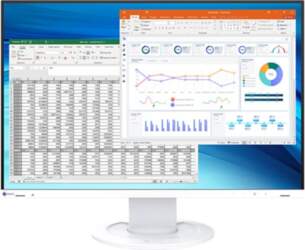 EIZO FlexScan EV2410R-WT - with FlexStand