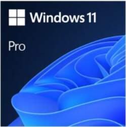 Microsoft Windows 11 Pro - licence
