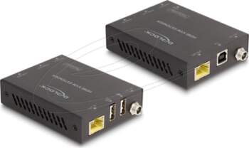Delock - transmitter and receiver -