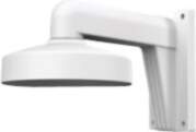 Digital Data Communications LevelOne CAS-7315 -