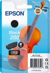 Epson 250 - black - original