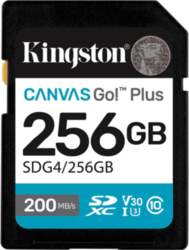 Kingston Canvas Go! Plus - flash