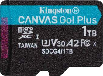 Kingston Canvas Go! Plus - flash