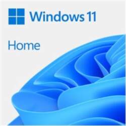 Microsoft Windows 11 Home - licence