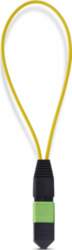 Startech loopback adapter - TAA Compliant