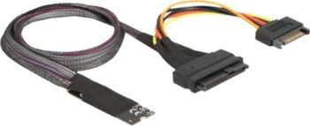 Delock - interface adapter - NVMe