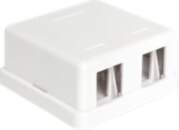 Delock Keystone Surface Mounted Box -