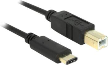 Delock - USB-C cable - USB-C