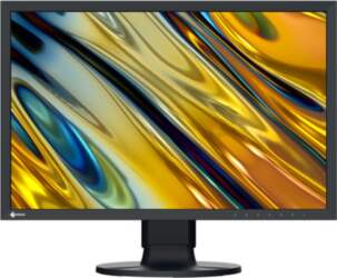 EIZO ColorEdge CS2400R - LED monitor