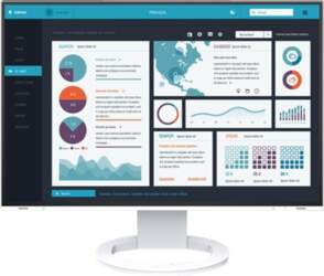 EIZO FlexScan EV2495-WT - with FlexStand