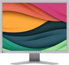 EIZO FlexScan S2134 - LED monitor