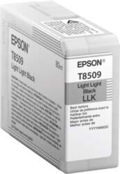 Epson T8509 - light light black