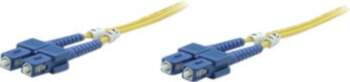 IC Intracom Intellinet Fiber Optic Patch