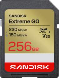 SanDisk Extreme Go - flash memory