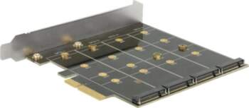 Delock - storage controller (RAID) -