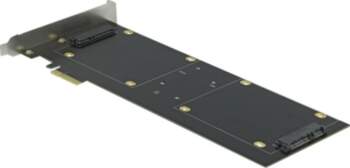 Delock - storage controller (RAID) -