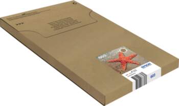 Epson 603 Multipack Easy Mail Packaging