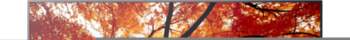 Sharp MultiSync PN-M502 PN-M Series -