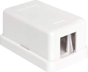 Delock Keystone Surface Mounted Box -