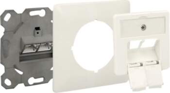 Delock Modular Wall Outlet flush mount