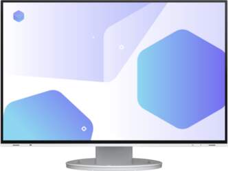 EIZO FlexScan EV2485-WT - LED monitor