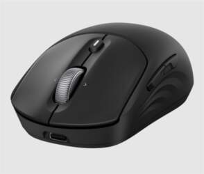 HP Inc. HP 705 - mouse