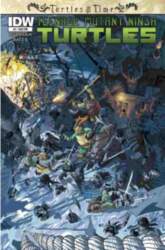 TMNT In Time (2014) #3B