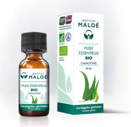 Эфирное масло Эвкалипта шаровидного Eucalyptus globulus