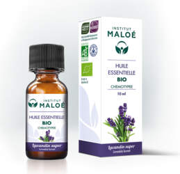 Эфирное масло Лавандин Супер Lavandula burnatii