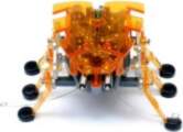 Hexbug Original