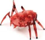 Hexbug Scarab