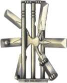 Cast Puzzle Cricket