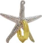 Cast Puzzle Starfish