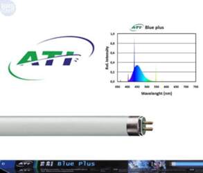 ATI Blue Plus T5 24W