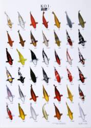 KOI POSTER 2