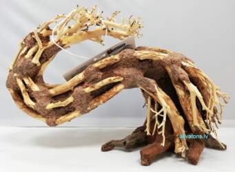 Superfish Bonsai Wave Medium