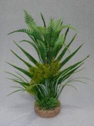 Sydeco Fern Medium