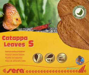 Sera Catappa Leaves S