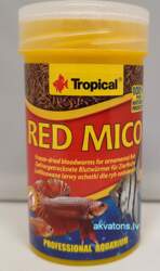 Tropical Red Mico