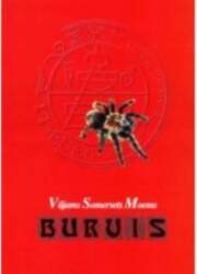 Gandrs Burvis