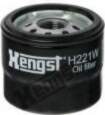 H221W H221W