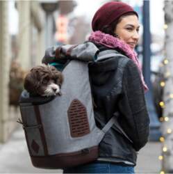 Kurgo - K9 Rucksack  Grey -