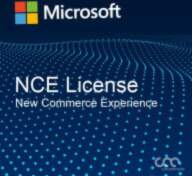 NCE/CSP Windows Server 2022 Standard -