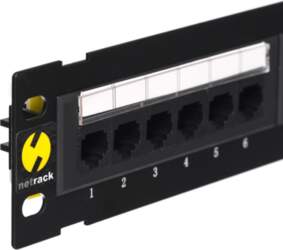 Netrack wall-mount patchpanel 10``  12 -