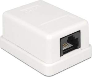 Network connection box 1 port Cat