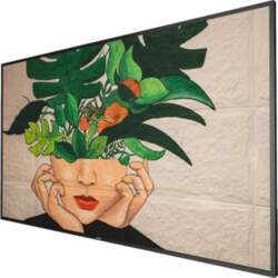 Philips 55BDL4511D D-Line - 55" Class