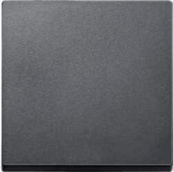 Schneider Merten System M Single key